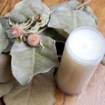 homemade deodorant made with mango butter and other natural ingredients